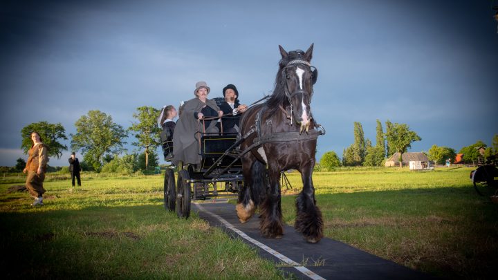 Uiteraard een prachtig paard